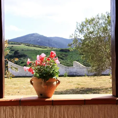 Casetta D'este Palmadula